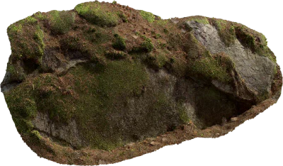 nordic forest ledge rock large 005 — Descargar
