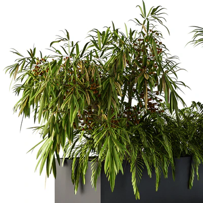 Outdoor Plants Black Plastic Box - Set 73 — Вид 2