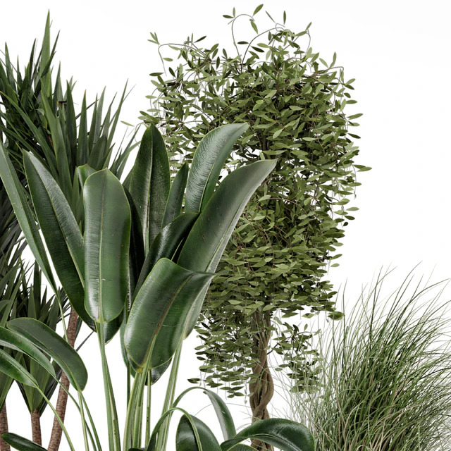 Indoor Plants in Ferm Living Bau Pot Large - Set 312 — Скачать