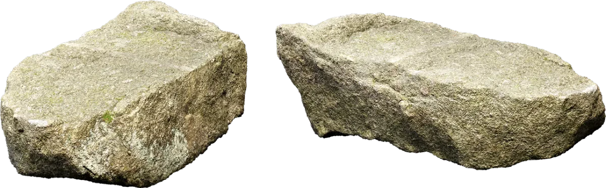 mossy forest boulder 024 — Скачать