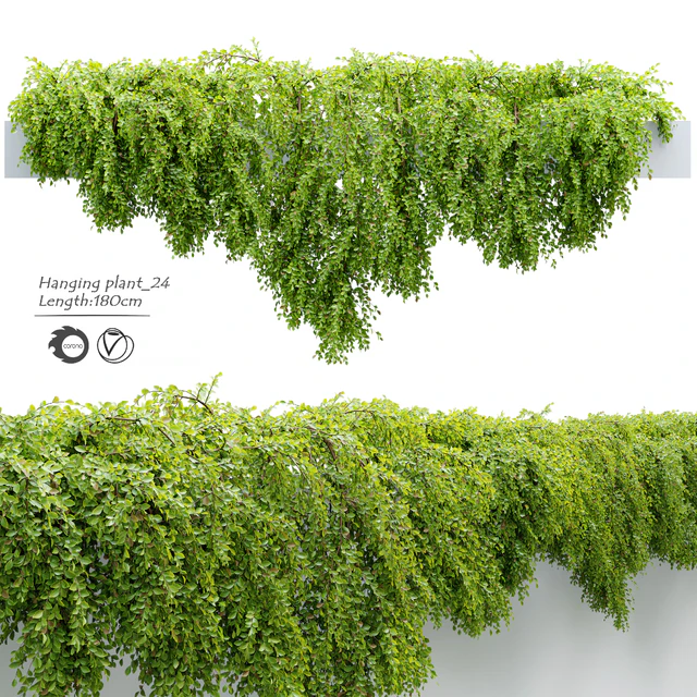 Hanging Plant 24 — Download