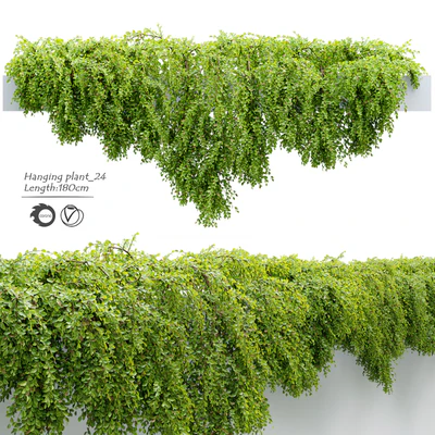 Hanging Plant 24 — View 1