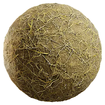 grass dried 072 — Скачать