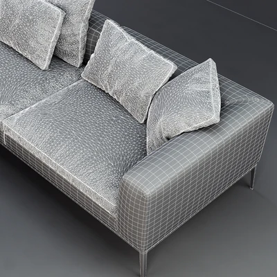 B &B Italia MICHEL Leather Sofa — Ver 2