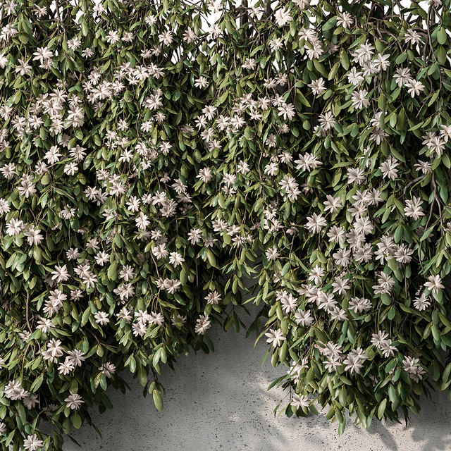 Outdoor Hanging Plants with White Flower - Set 390 — Descargar