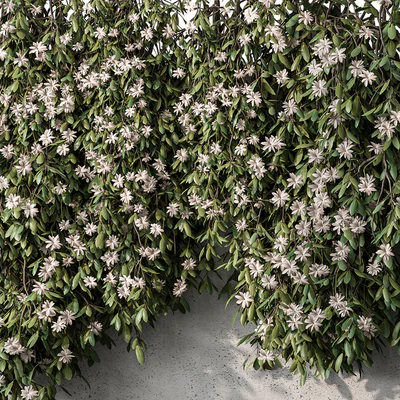 Outdoor Hanging Plants with White Flower - Set 390 — Ver 2