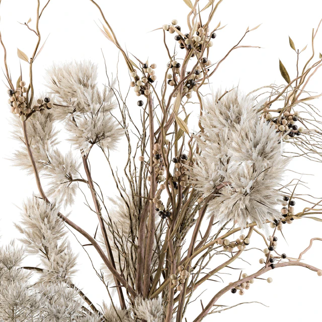 Dry plants 33 - Pampas and Dried Branch — Скачать