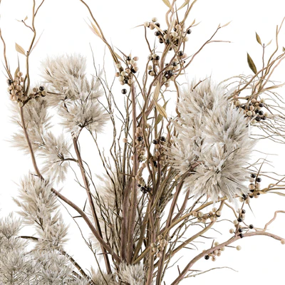 Dry plants 33 - Pampas and Dried Branch — Вид 2