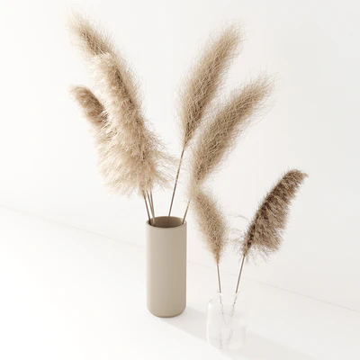 Set of pampas in vase — Ver 2