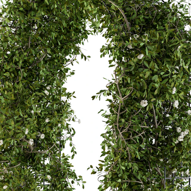 The plants pergola — Descargar