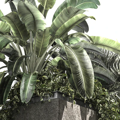 OUTDOOR PLANT BOX-V3 — Вид 2
