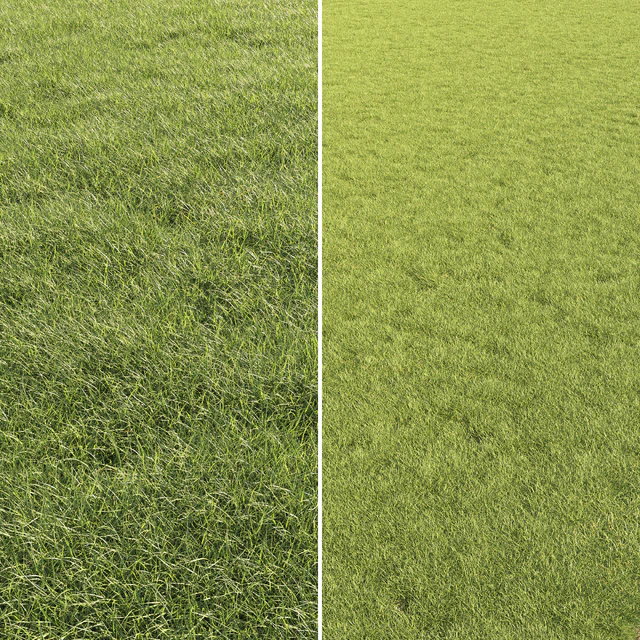 Lawn Grass 01 — Descargar