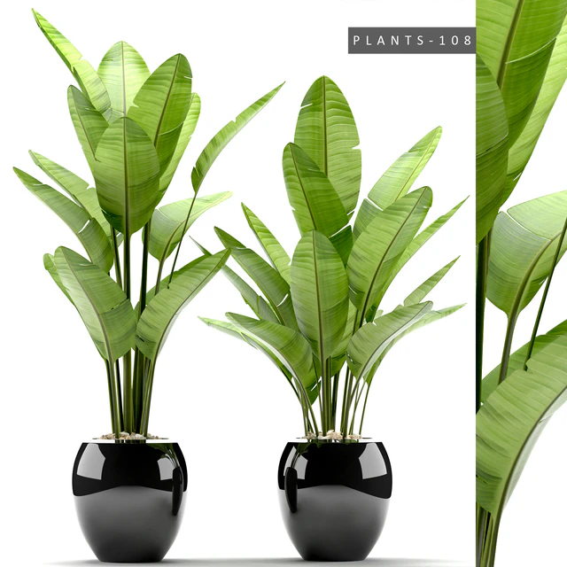 PLANTS 108 — Скачать