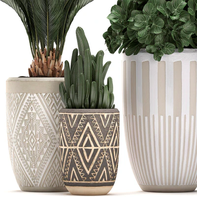 Collection of small plants in ethnic aged pots with Cactus, Date palm, flower. Set 476. — Ver 2