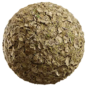 fallen leaves and grass 007 — Скачать