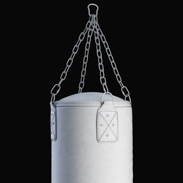 Boxing bag DFC HBL4 — Descargar