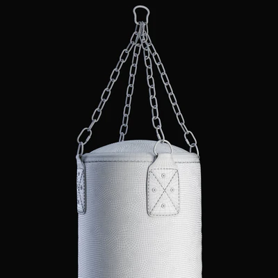 Boxing bag DFC HBL4 — Ver 2