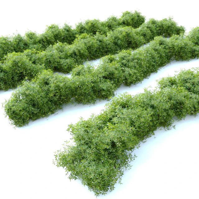Bush 4 — Скачать