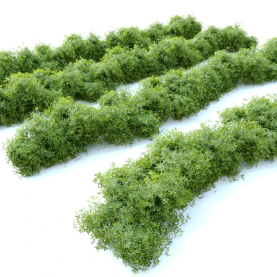 Bush 4 — Вид 2