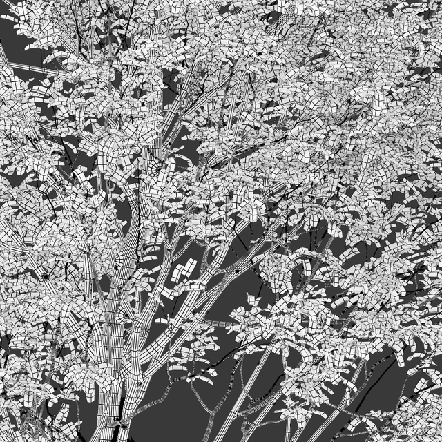 Plum tree — Descargar