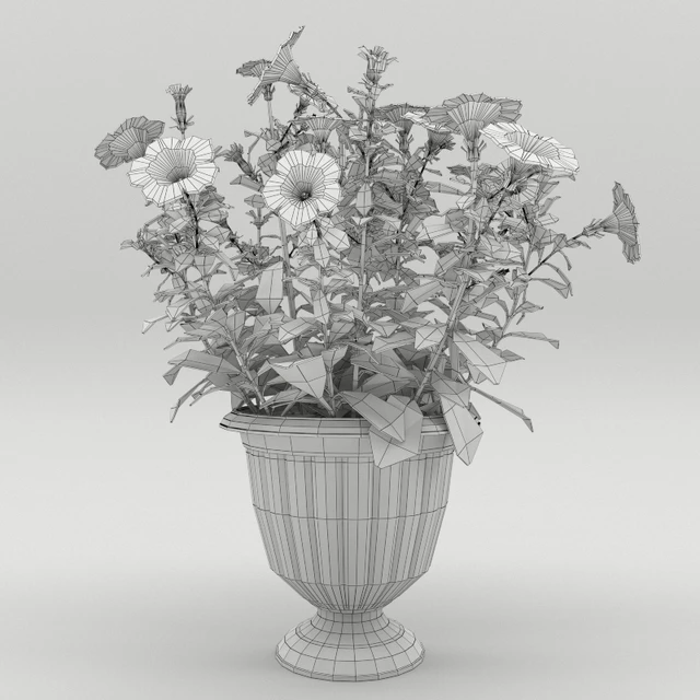 Petunia in a flower pot — Descargar