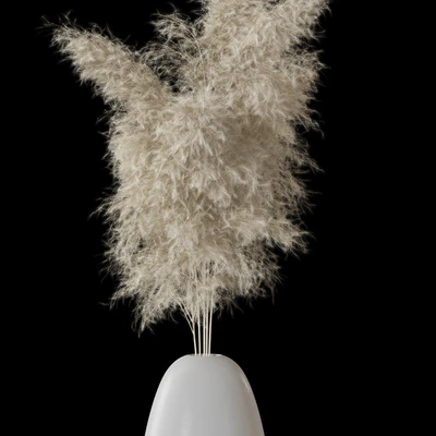 Decorative Pampas — Ver 2