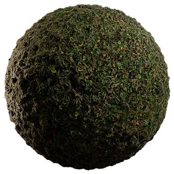 wild grass 028 — Скачать