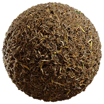 dried leaves and grass 002 — Descargar