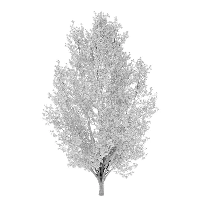 Autumn pear tree 02 — Ver 2