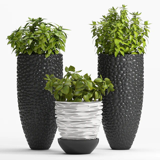 PLANT -20 — Descargar