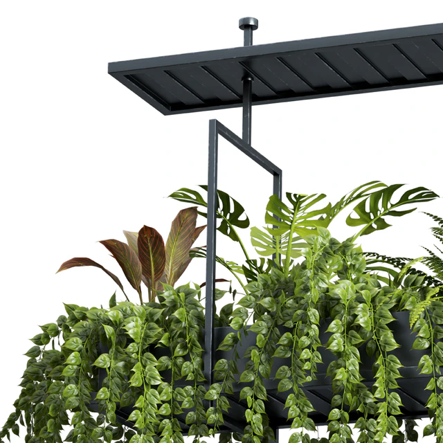 Indoor plant set 05-Hanging plants — Descargar