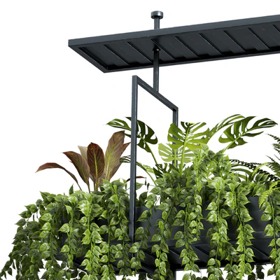 Indoor plant set 05-Hanging plants — Ver 2