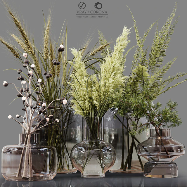 Collection Indoor Plants 03 — Descargar