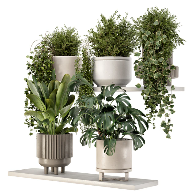 Indoor Hanging Plants in rusty Concrete Pot - Set 909 — Descargar