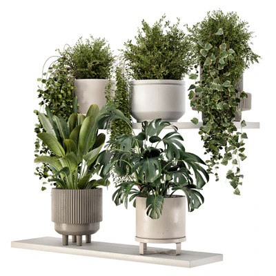 Indoor Hanging Plants in rusty Concrete Pot - Set 909 — Ver 2
