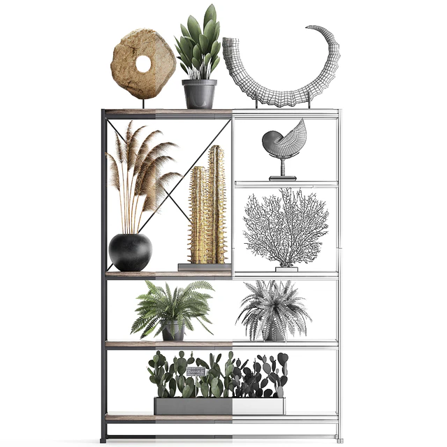 Decorative set 14. Decor shelf, tusk, pampas grass, dried flower, coral, cactus, fern, rack, loft decor — Descargar