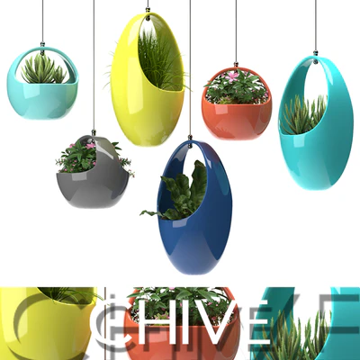 PLANTS 48 — Вид 1