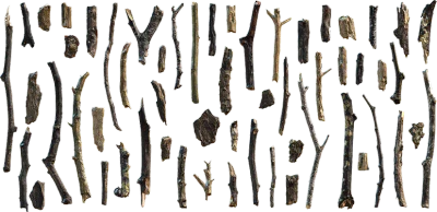 forest debris 001 — Descargar