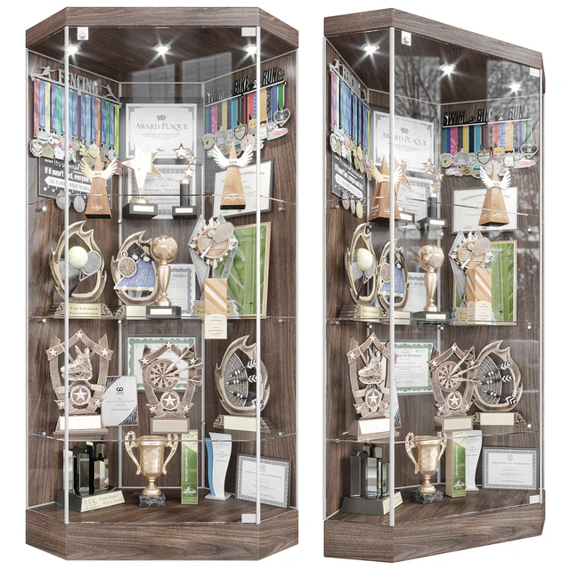 Award cabinet 3 — Descargar