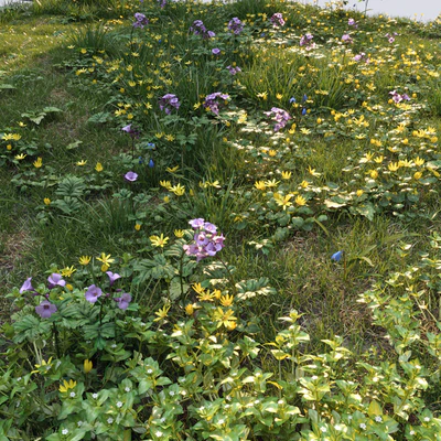 Spring grass set #1 — Ver 2