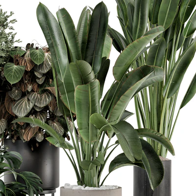 Indoor Plants in Ferm Living Bau Pot Large - Set 1204 — Ver 2