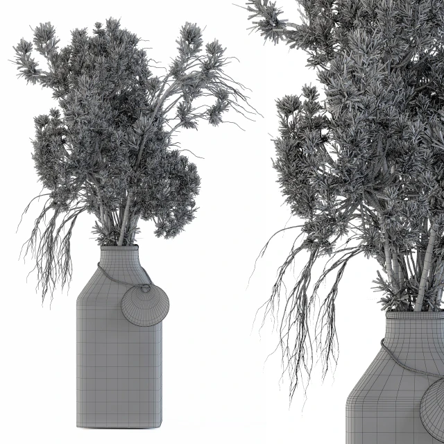 Dry plants 09 — Descargar