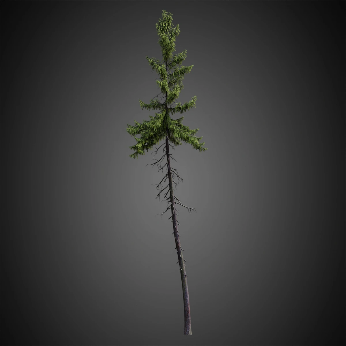 008 — Download