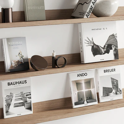 095 Decor on shelves 01 books and neutral 00 — Ver 2