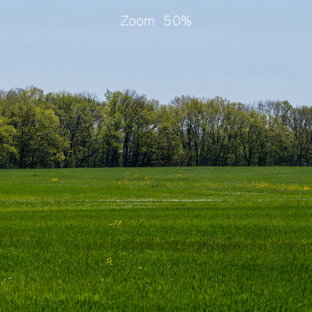 Panorama of a green field with flowers and trees. 32k — Descargar
