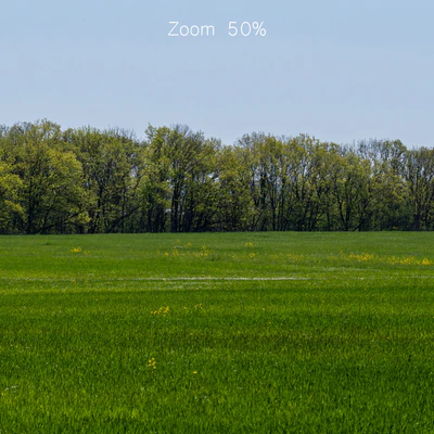 Panorama of a green field with flowers and trees. 32k — Ver 2