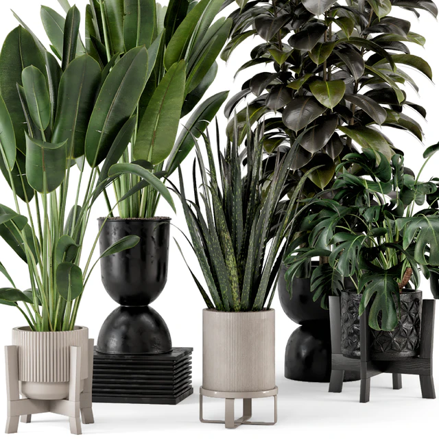 Indoor Plants in Ferm Living Bau Pot Large - Set 583 — Скачать