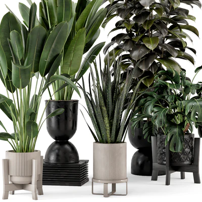 Indoor Plants in Ferm Living Bau Pot Large - Set 583 — Вид 3