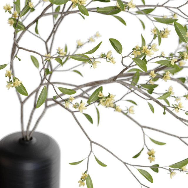 Bouquet 48 — Download