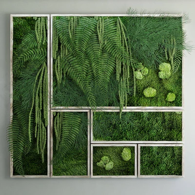 Moss and fern fytowall — Вид 1